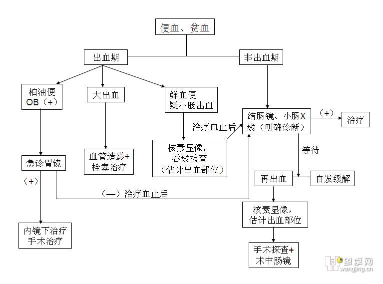 病例解析(09.03.05) - 学术交流 -望京网