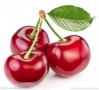Cherry family(ӣҡ֮ң׶԰